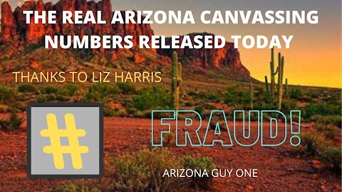 ARIZONA REAL CANVASSING NUMBERS OUT TODAY