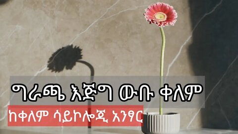 የኔ ምርጫ ግራጫ || እጅግ አስደናቂው ቀለም