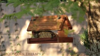 Make a bird feeder