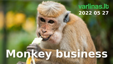 Varlinas tiesiogiai - 2022 05 27 - Monkey business