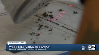 West Nile virus research underway