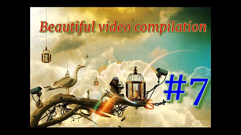 Beautiful video compilation #7