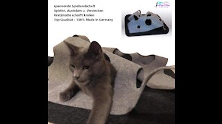 CatMountain - Katzenspielzeug und Kratzmatte - für intelligentes Spielen mit Deiner Katze