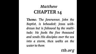 Matthew Chapter 14 (Bible Study)