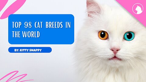 top 98 cat breeds