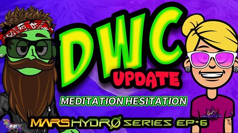 Meditation Hesitation... DWC Update (Mars Hydro Series #6)