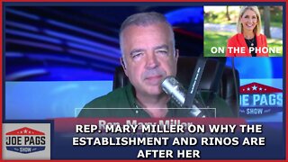 Rep Mary Miller Stays Strong Under Constant Attack