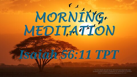 Morning Meditation -- Isaiah 56 verse 11 TPT