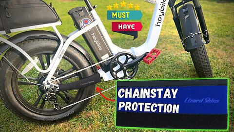 Lizard Skin Chainstay Protector "Review"