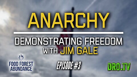 Anarchy | Ep #3 "Demonstrating Freedom With Jim Gale"