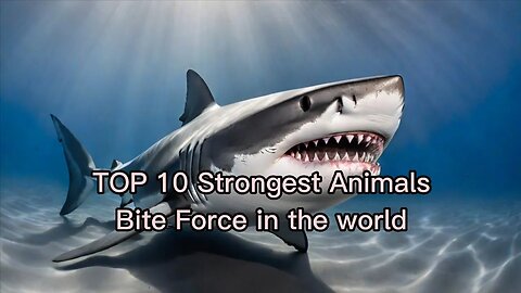TOP 10 Strongest Animals Bite Force in the world