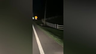 Kangaroo seen crossing the road in Brewster on Saturday night