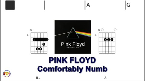 PINK FLOYD Comfortably Numb - (Chords & Lyrics like a Karaoke) HD