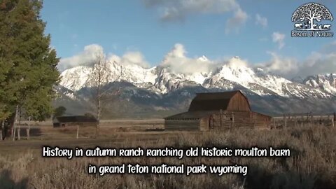 History in autumn ranch ranching old historic moulton barn in grand teton national park wyoming