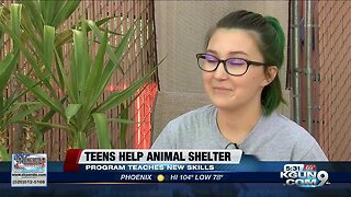 Green Valley animal shelter thrives with help of teens during the summer