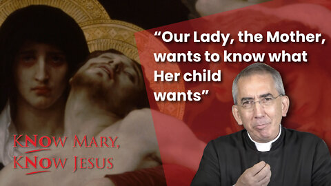 Our Lady is the Mediatrix of All Graces | Know Mary, Know Jesus...No Mary, No Jesus