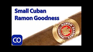 Cuban Ramon Allones Small Club Corona Cigar Review