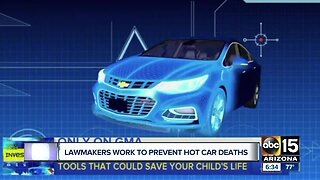 Lawmakers work to prevent hot car deaths