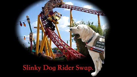 Discover the Secret of Hollywood Studios' Slinky Dog Dash Rider Swap with Service Dog