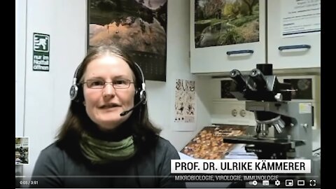 Prof. Dr. Ulrike Kämmerer