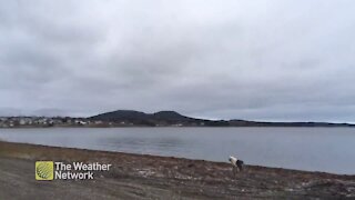 Calm and cloudy day by the water