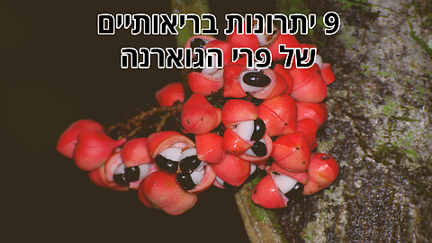 9 יתרונות בריאותיים של פרי הגוארנה