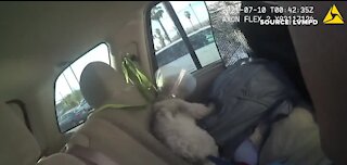 Las Vegas police rescue dog in hot car