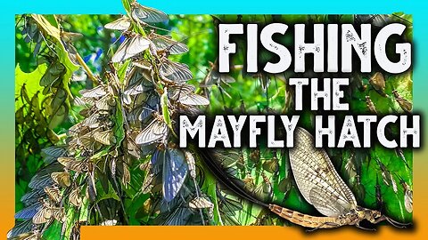 Bass Fishing the MAYFLY HATCH! | Summer Bass Fishing