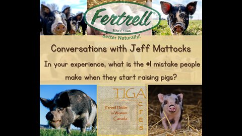 Conversations with Jeff Mattocks, The #1 Mistake People Make When Raising Pigs