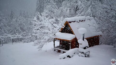 ASMR Sleep with Dreamy Wooden Cottage and Heavy Snow in Alaska