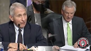 'Are You Communicating With Them?': Tuberville Grills Fauci Over Current Research In China