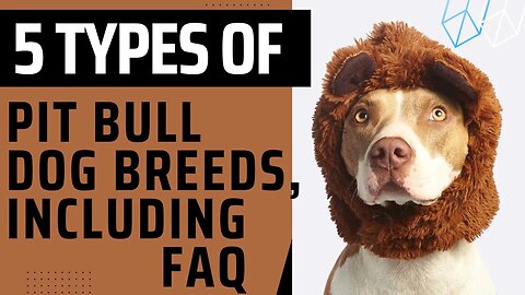 Five Types of Pit Bull Dog Breeds.