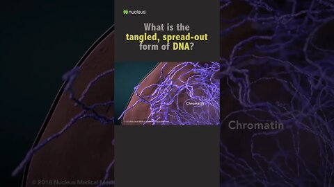 Biology Quiz: What is the tangled, spread-out form of DNA?