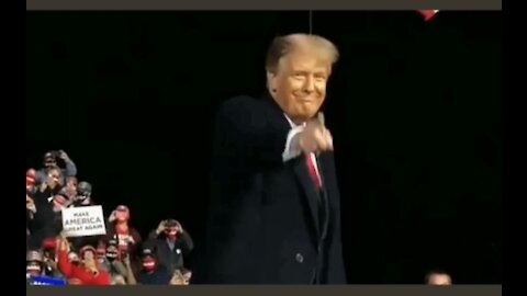 How could You NOT Love President Trump - VOTE!