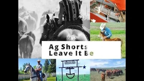 LEAVE it Alone! Gates & Hunting - Ag Shorts