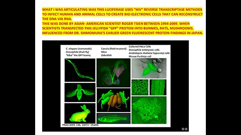 Luciferase. Reverse Transcriptase and sars cov2 Testing using GFP Fluorescent Technology. 6/2/22