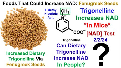 Foods That Could Increase NAD: Fenugreek Seeds