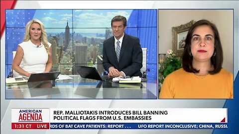 Rep. Malliotakis Introduces Bill Banning Political Flags From U.S. Embassies