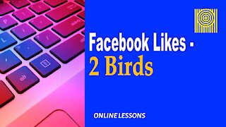 Facebook Likes-2 Birds