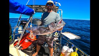 Big fish, Spanish Mackerel, Pink Snapper and Dolphins - Episode 04 Life Over Longevity