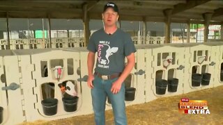 Blend Extra: Closing Out Dairy Month on the Farm