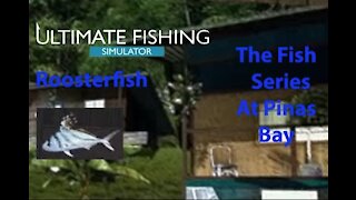 Ultimate Fishing Simulator: The Fish - PinasBay - Roostertail - [00042]
