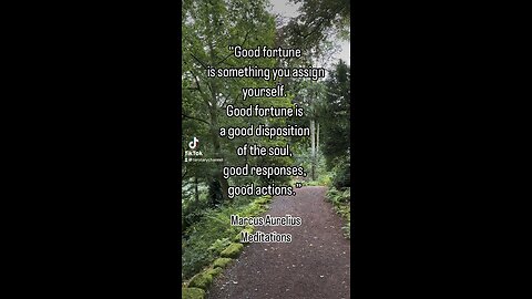 Good fortune-Marcus Aurelius #meditations #marcusaurelius #tarotary #goodfortune #soul #gooddecions
