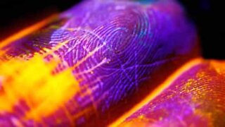 Fluorescent paint flows through skin like a river