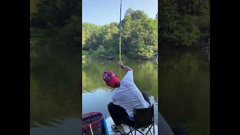 BIRD Fishing Lure Catches BIG FISH CRAZY!