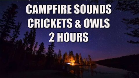 Night Campfire Sounds With Crickets & Owls Hooting 2 Hours