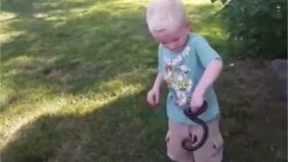 Fearless kid handles snakes and gets bitten