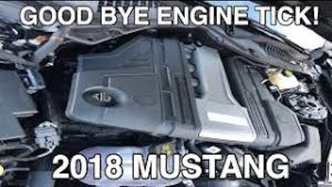 2018-2019 mustang Typewriter/BBQ tick. What it really is.