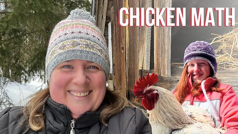 Chicken Math | Moving The Roosters To Increase Fertility