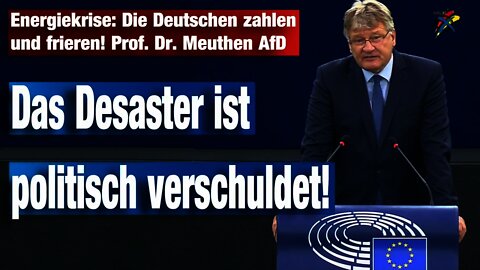 Energiekrise: Die Deutschen zahlen und frieren! Prof. Dr. Meuthen AfD